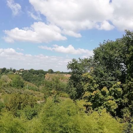 Apartament Nel Chianti Lungo La Francigena Colle Val D'Elsa Zewnętrze zdjęcie