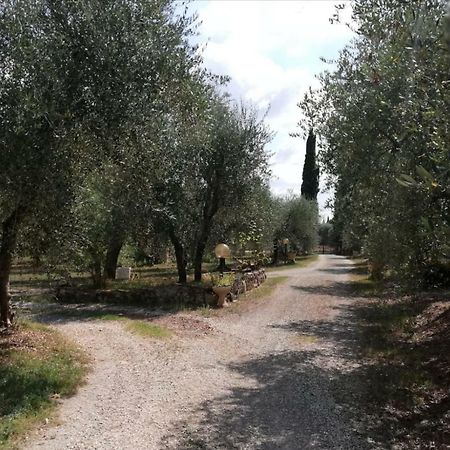 Apartament Nel Chianti Lungo La Francigena Colle Val D'Elsa Zewnętrze zdjęcie