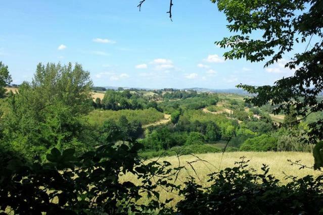 Apartament Nel Chianti Lungo La Francigena Colle Val D'Elsa Zewnętrze zdjęcie