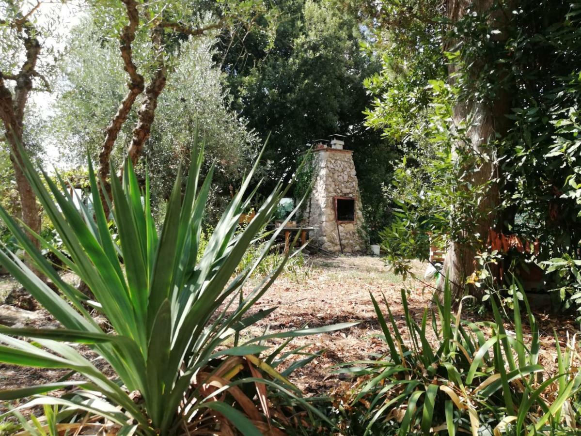 Apartament Nel Chianti Lungo La Francigena Colle Val D'Elsa Zewnętrze zdjęcie