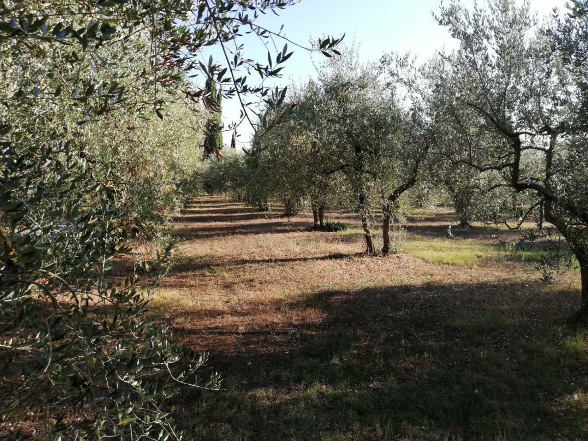 Apartament Nel Chianti Lungo La Francigena Colle Val D'Elsa Zewnętrze zdjęcie