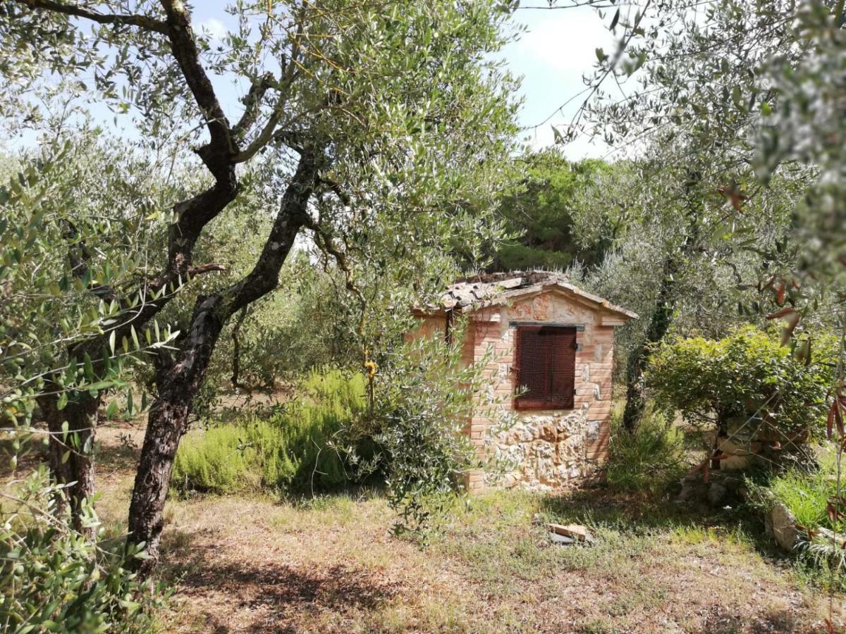 Apartament Nel Chianti Lungo La Francigena Colle Val D'Elsa Zewnętrze zdjęcie