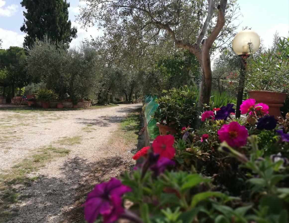 Apartament Nel Chianti Lungo La Francigena Colle Val D'Elsa Zewnętrze zdjęcie