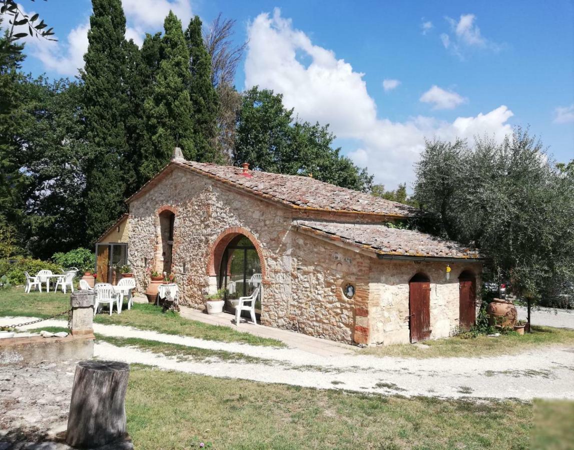 Apartament Nel Chianti Lungo La Francigena Colle Val D'Elsa Zewnętrze zdjęcie