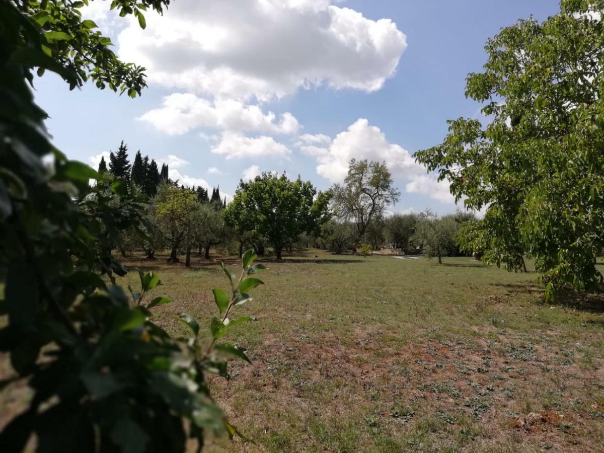 Apartament Nel Chianti Lungo La Francigena Colle Val D'Elsa Zewnętrze zdjęcie