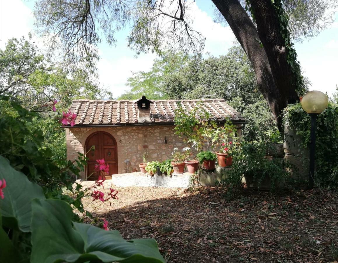 Apartament Nel Chianti Lungo La Francigena Colle Val D'Elsa Zewnętrze zdjęcie