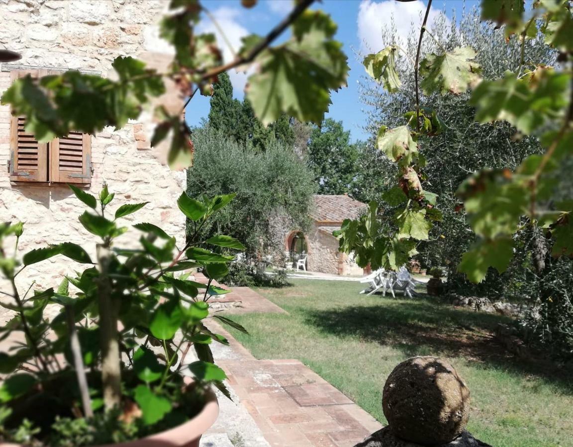 Apartament Nel Chianti Lungo La Francigena Colle Val D'Elsa Zewnętrze zdjęcie