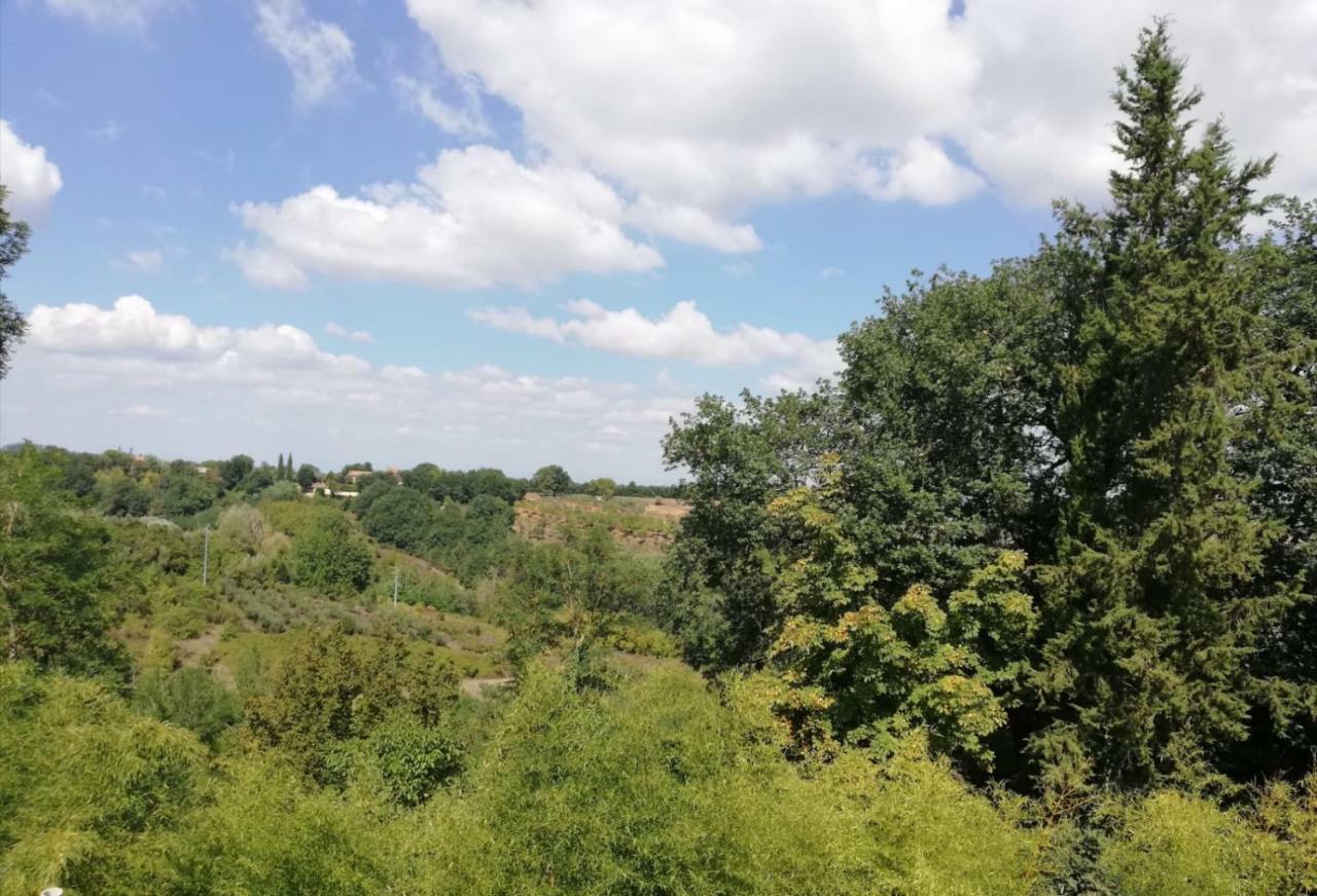 Apartament Nel Chianti Lungo La Francigena Colle Val D'Elsa Zewnętrze zdjęcie