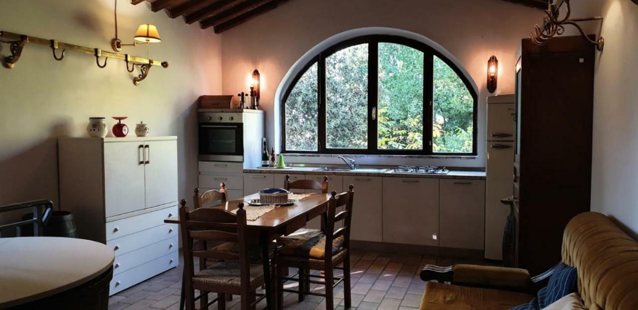Apartament Nel Chianti Lungo La Francigena Colle Val D'Elsa Zewnętrze zdjęcie